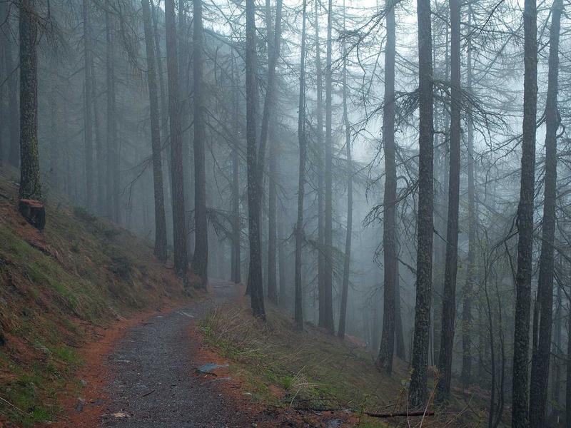 Consejos y Guías sobre Boutique Piantini Santo Domingo en Santo Domingo